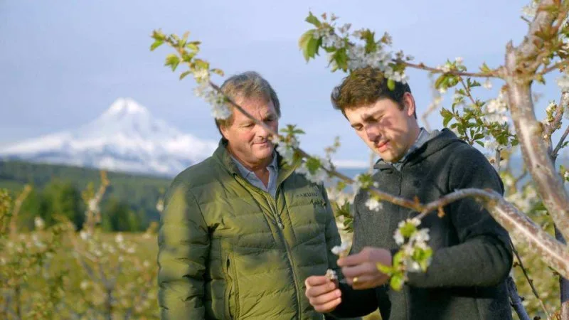 Hood River Cherry Co. — camera and drone operator